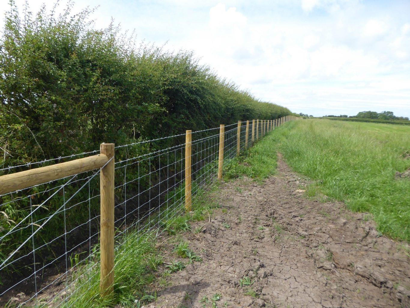 Fencing grants Fencing grants